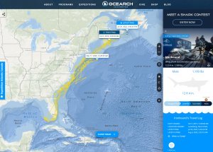 OCEARCH Shark Tracker
