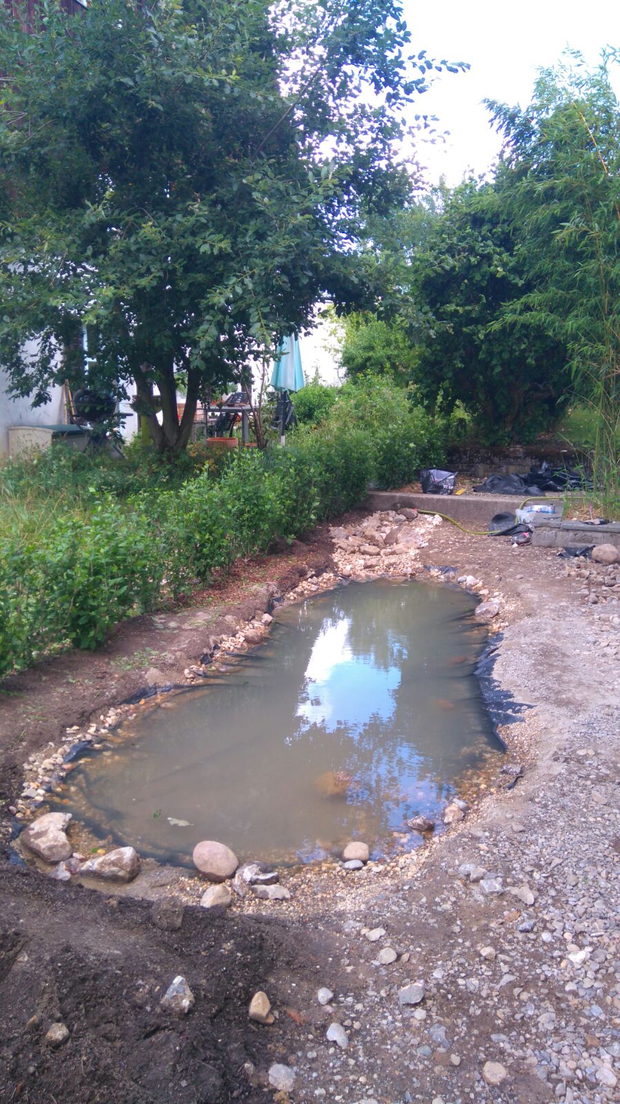 teichbau umrandung